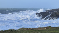 Les plus récentes photos du Restaurant Les Mouettes à Quiberon - n°1