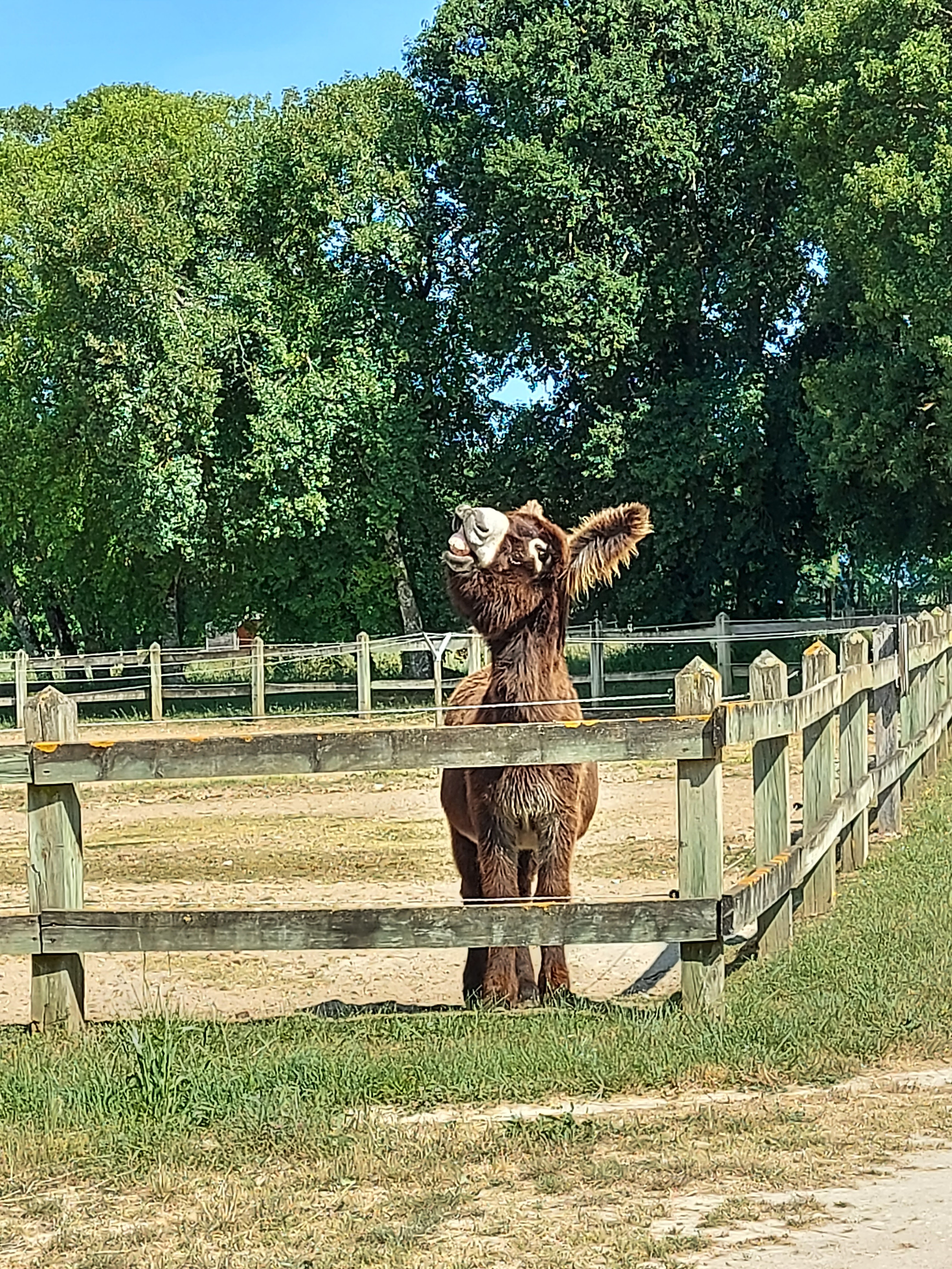 Photo n° 4 de l'avis de Leeloo.l fait le 13/05/2022 à 18:30