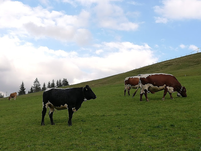 B&B Salwideli, Susanne u. Urs Rychener - Sarnen