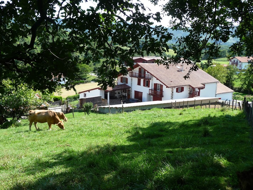 GITES ERRATZUKO-BORDA à Ainhoa (Pyrénées-Atlantiques 64)