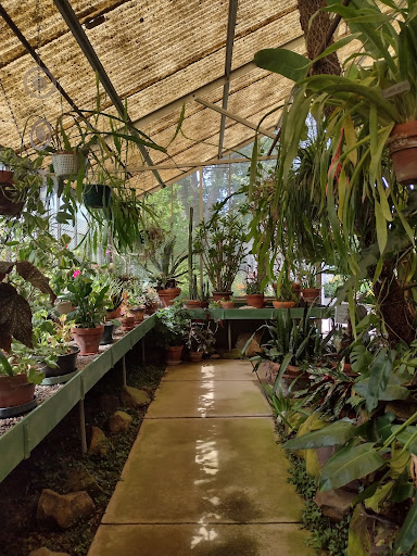 Museum «Deepwood Museum & Gardens», reviews and photos, 1116 Mission St SE, Salem, OR 97302, USA