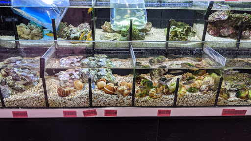 Tropical Fish Store «Premier Aquatics», reviews and photos, 1801 Roswell Rd, Marietta, GA 30062, USA