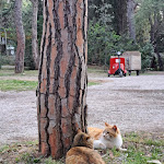 Photo n°3 de l'avis de Ilse. fait le 02/05/2023 à 07:56 sur le  Camping Village Rocchette à Castiglione della Pescaia