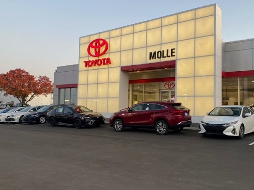 Molle Toyota, 601 W 103rd St, Kansas City, MO 64114, USA, 