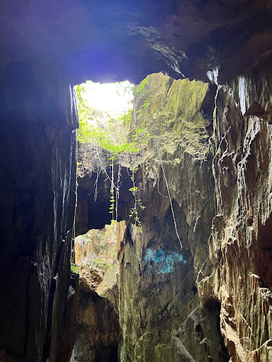 Tourist Attraction «Consolidated Gold Mine», reviews and photos, 185 Consolidated Gold Mine Rd, Dahlonega, GA 30533, USA