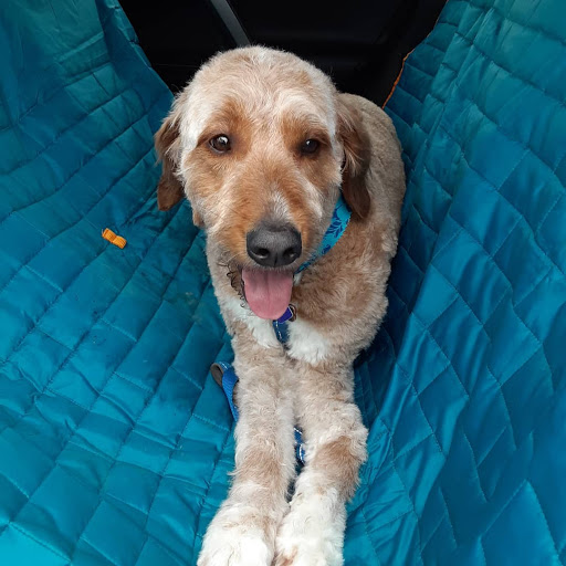 Pet Store «Happy, Clean and Smart», reviews and photos, 5700 W Kilgore Ave, Muncie, IN 47304, USA