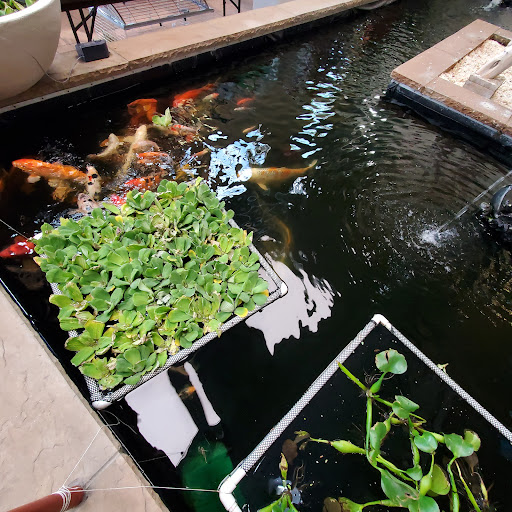 Pet Store «Pet Paradise Grooming», reviews and photos, 1115 Pueblo Blvd Way, Pueblo, CO 81005, USA