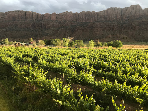 Winery «Spanish Valley Vineyard & Winery», reviews and photos, 4710 Zimmerman Ln, Moab, UT 84532, USA