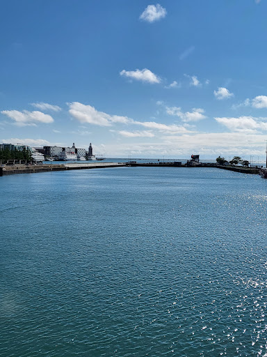 Tourist Attraction «Southbank Riverwalk», reviews and photos, 1001 Museum Cir, Jacksonville, FL 32202, USA