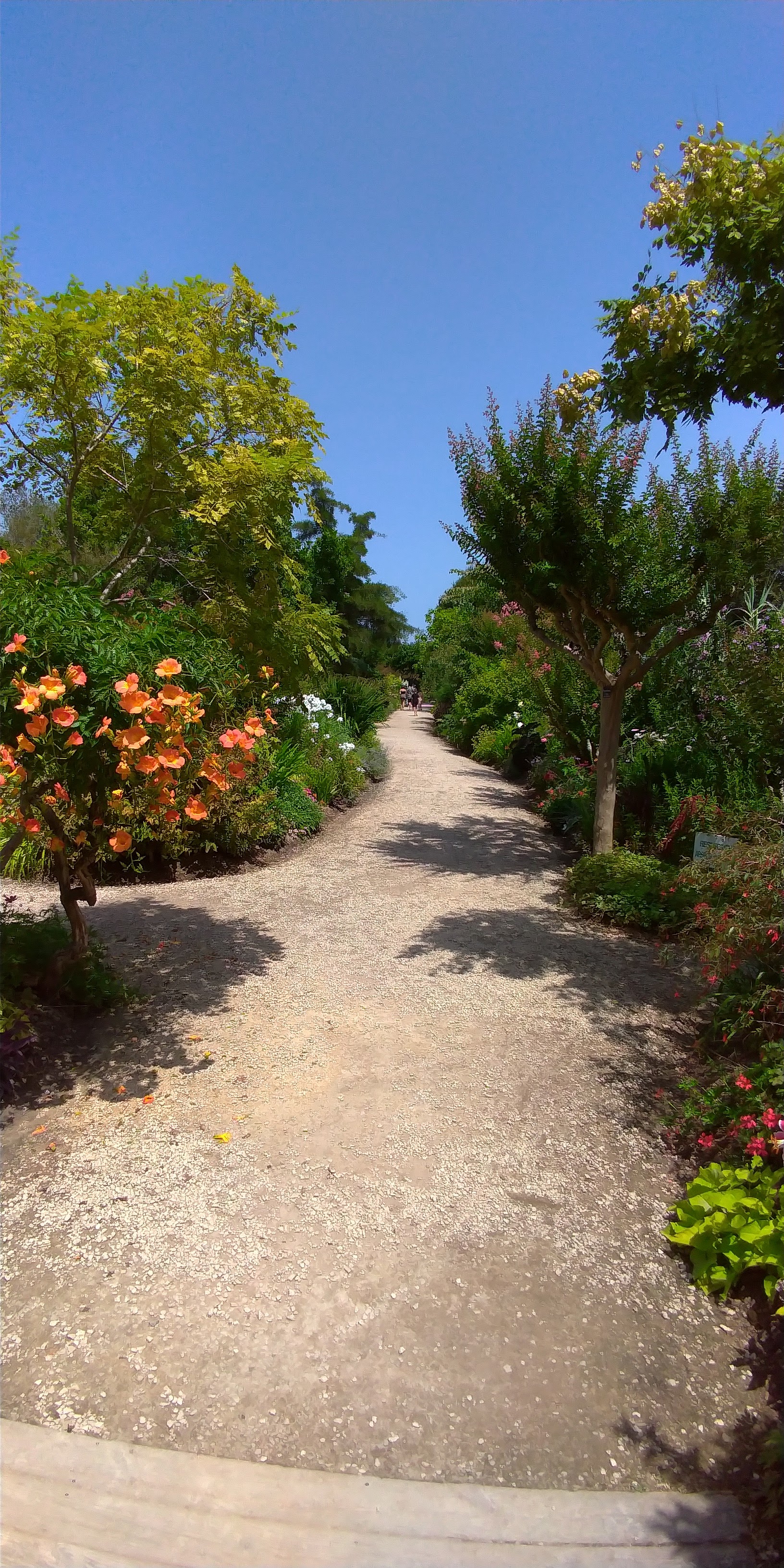 Photo n° 2 de l'avis de Yohan.o fait le 23/07/2019 à 11:02