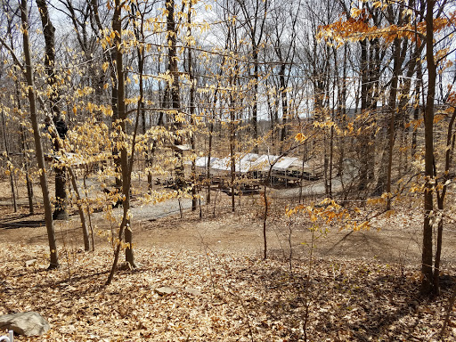 Amusement Park «The Adventure Park at the Discovery Museum», reviews and photos, 4450 Park Ave, Bridgeport, CT 06604, USA