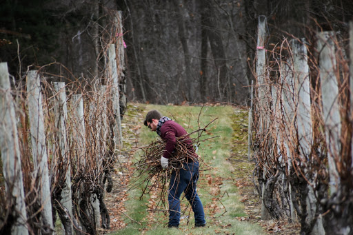 Winery «Jewell Towne Vineyards», reviews and photos, 183 Whitehall Rd, Amesbury, MA 01913, USA