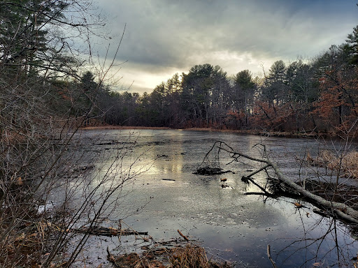 Hapgood Wright Town Forest – Fairyland Pond Parking