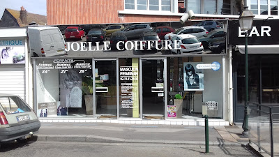 Corbeau Gosselin Joelle Joelle à Lisieux