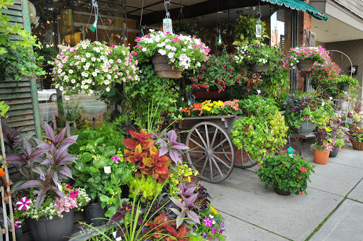 Florist «Talbott’s Flowers», reviews and photos, 22 N State St, Westerville, OH 43081, USA
