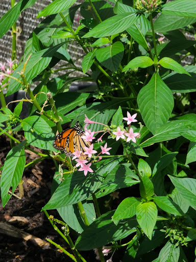 Zoo «Topeka Zoo», reviews and photos, 636 SW Zoo Pkwy, Topeka, KS 66606, USA