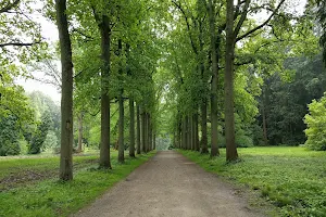 Arboretum Tervuren image