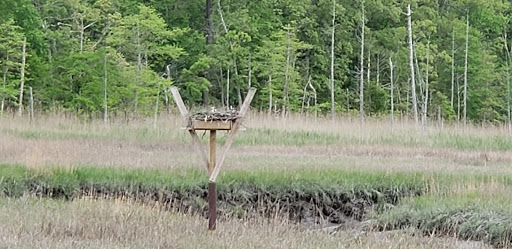 Nature Preserve «Eldora Nature Preserve», reviews and photos, 2350 NJ-47, Delmont, NJ 08314, USA