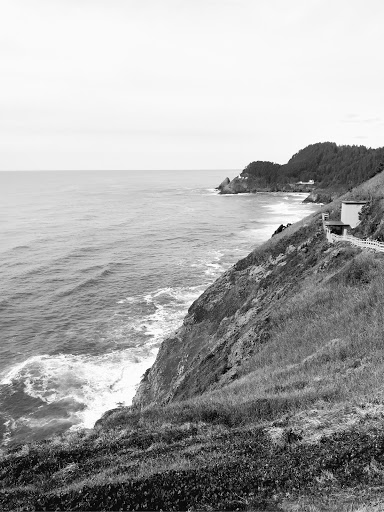 Tourist Attraction «Sea Lion Caves», reviews and photos, 91560 US-101, Florence, OR 97439, USA