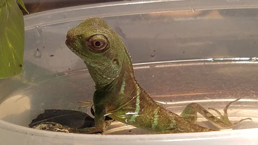 Computer Repair Service «Video Wholesale Services», reviews and photos, 2116 E 3900 S, Salt Lake City, UT 84124, USA