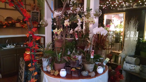 Florist «The Posie Peddler», reviews and photos, 92 West Ave, Saratoga Springs, NY 12866, USA
