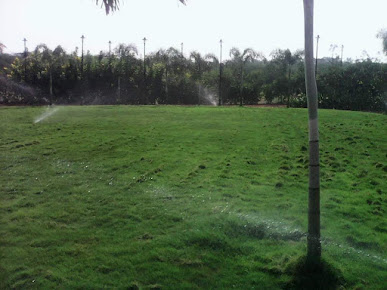 Google Maps image 19