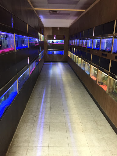 Pet Store «Inland Reef Pet Store», reviews and photos, 817 Cross Lanes Dr, Cross Lanes, WV 25313, USA