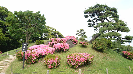 Hamarikyu Gardens