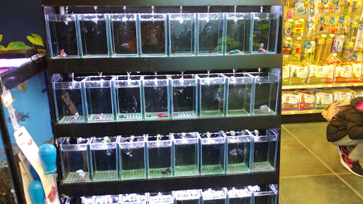 Pet Store «Olathe Pet Shop», reviews and photos, 16651 151st St, Olathe, KS 66062, USA