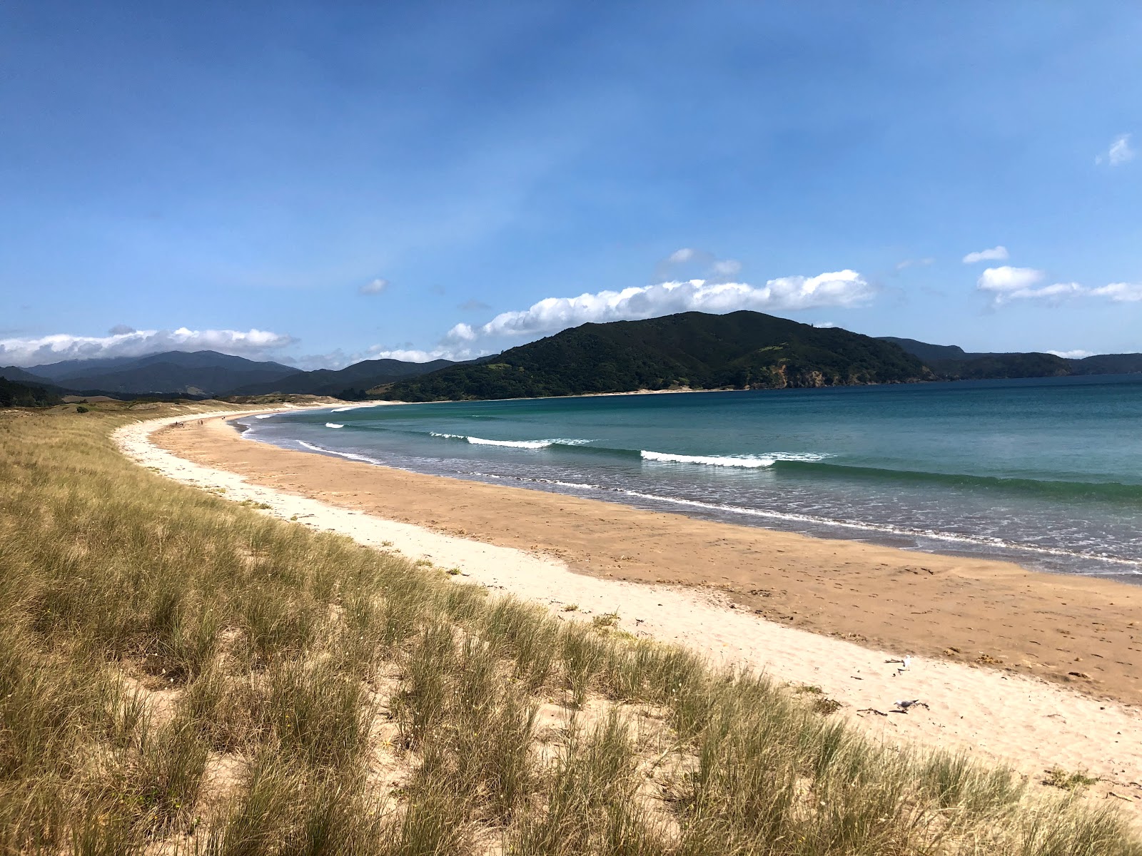 Fotografija Waikawau Bay z svetel pesek površino