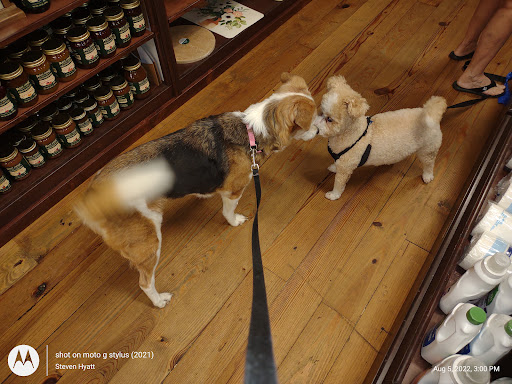 General Store «Mast General Store Waynesville», reviews and photos, 63 N Main St, Waynesville, NC 28786, USA