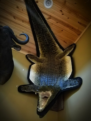 Taxidermist «HighPoint Taxidermy And Outfutters», reviews and photos, 14860 OH-13, Thornville, OH 43076, USA