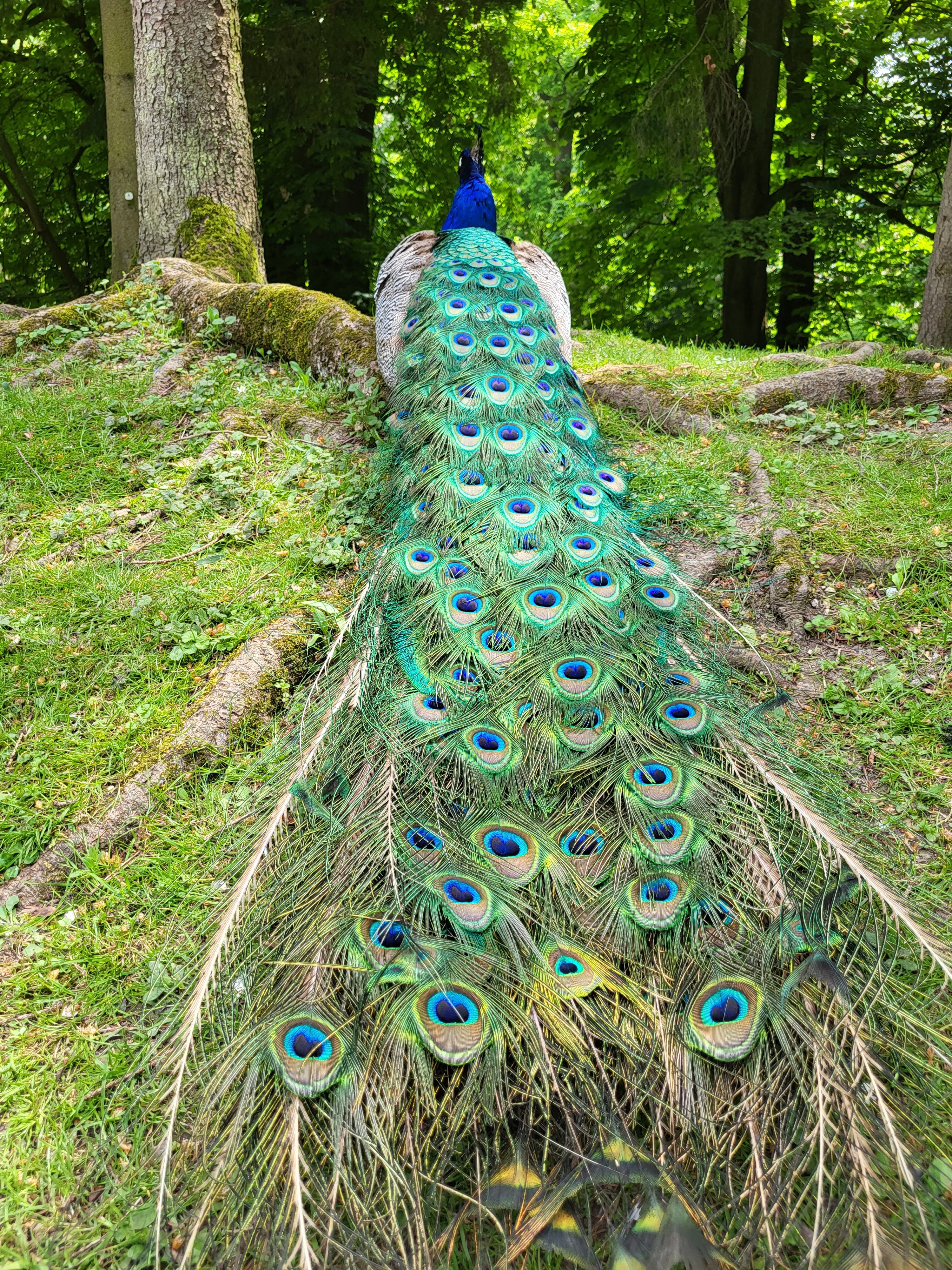 Photo n° 1 de l'avis de Lucien.a fait le 04/06/2023 à 17:32