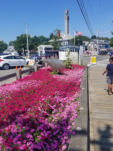 Monument «Pilgrim Monument», reviews and photos, 1 High Pole Hill Rd, Provincetown, MA 02657, USA