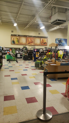 Pet Supply Store «Petco Animal Supplies», reviews and photos, 401 Sunrise Hwy, Patchogue, NY 11772, USA