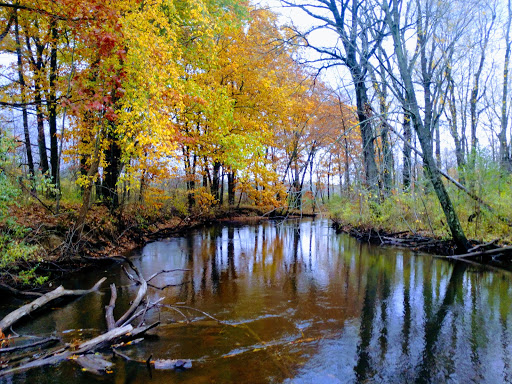 Mill «Sharon Mills County Park», reviews and photos, 5701 Sharon Hollow Rd, Manchester, MI 48158, USA