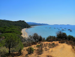 Cala Civette'in fotoğrafı vahşi alan