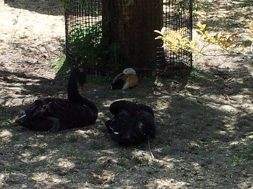 Golf Club «Stone Harbor Golf Club», reviews and photos, 905 U.S. 9, Cape May Court House, NJ 08210, USA