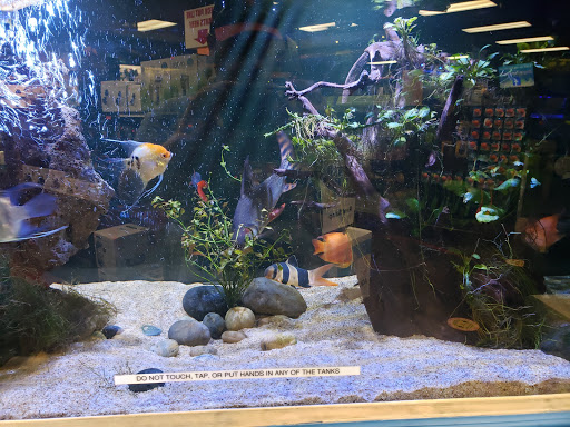 Aquarium & Reptile Depot image