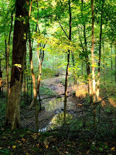 Nature Preserve «Hoover Forest Preserve», reviews and photos, 11285 W Fox Rd, Yorkville, IL 60560, USA