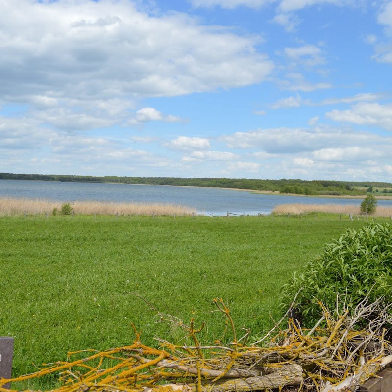 Grimnitzsee