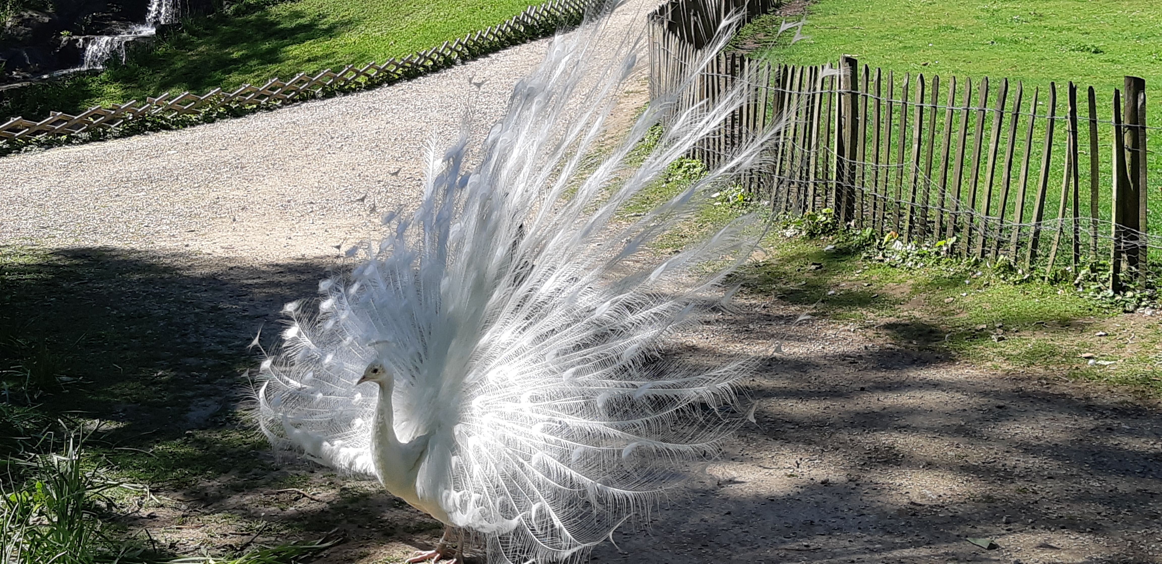 Photo n° 18 de l'avis de ANGÉLIQUE.A fait le 16/05/2019 à 10:37