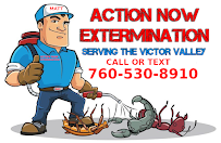 Action Now Extermination - Photo 4 - Car repair in , Victorville