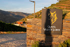 Quinta Vale de Lobos Douro Folgosa