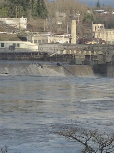 Park «Old Canemah Park», reviews and photos, South End Rd, Oregon City, OR 97045, USA