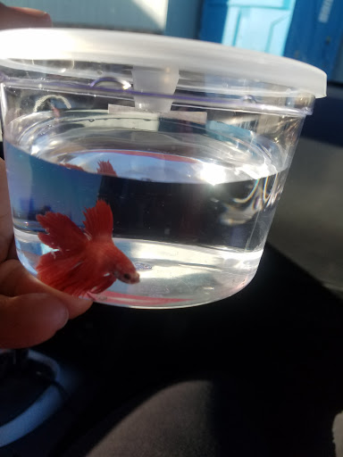 Pet Supply Store «Petco Animal Supplies», reviews and photos, 911 N Stratford Rd c, Moses Lake, WA 98837, USA