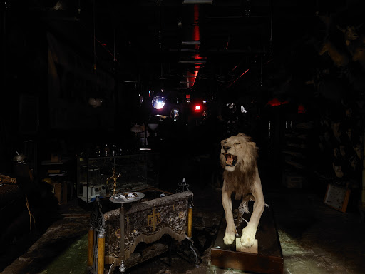 Art Gallery «Dysfunctional Grace Art Co», reviews and photos, 1903 E 7th Ave, Tampa, FL 33605, USA