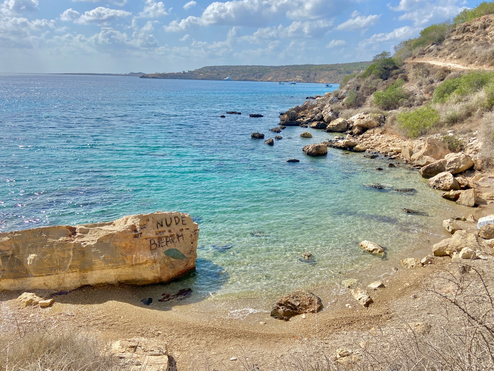 Zdjęcie Turtle Beach, Protaras obszar udogodnień