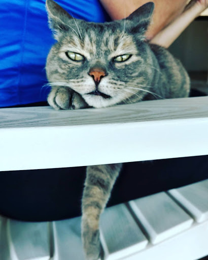 Vineyard «Mellisoni Vineyards», reviews and photos, 3155 US-97 ALT, Chelan, WA 98816, USA