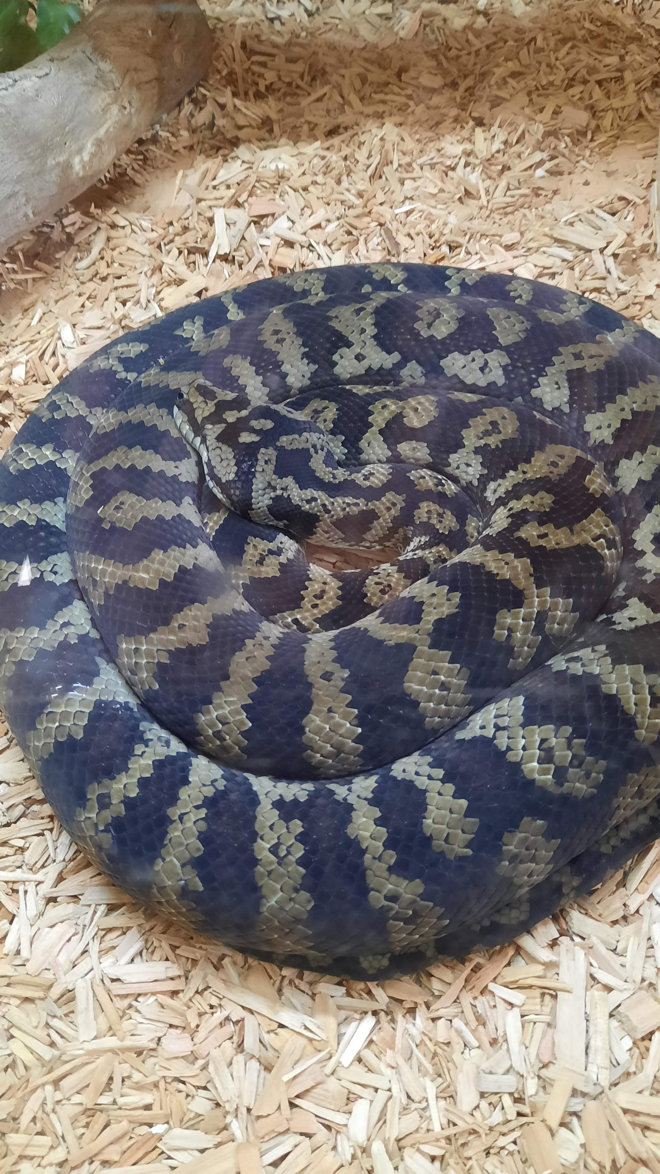 Photo n° 3 de l'avis de Kaya.a fait le 20/08/2022 à 07:05